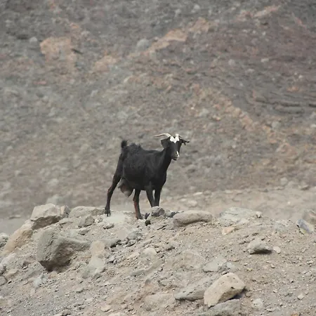 Casa Playa Paraiso Cs Appartement Costa Calma